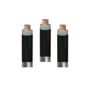 Dây cáp điện Cadivi CXV-0,6/1kV 4mm2