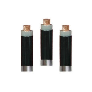 Dây cáp điện Cadivi CXV-0,6/1kV 6mm2